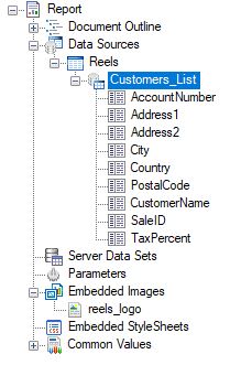 Add the data source in the report explorer